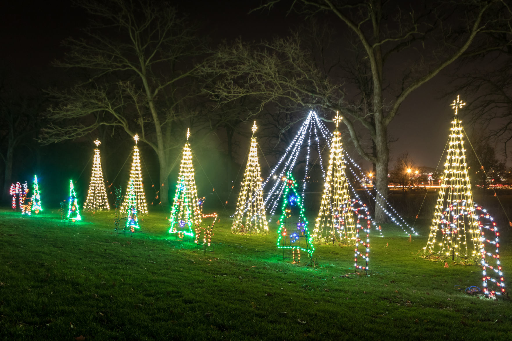 Holiday Fantasy in Lights